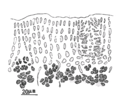 PG电子·游戏官方网站